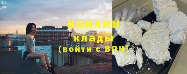 стаф Новозыбков
