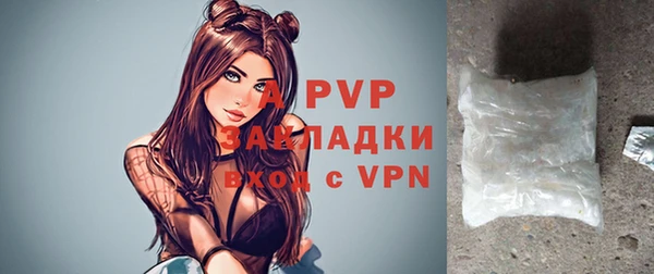 стаф Новозыбков