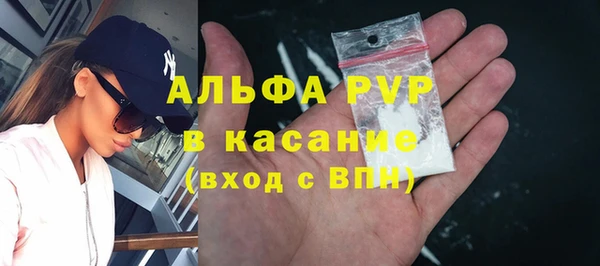 стаф Новозыбков
