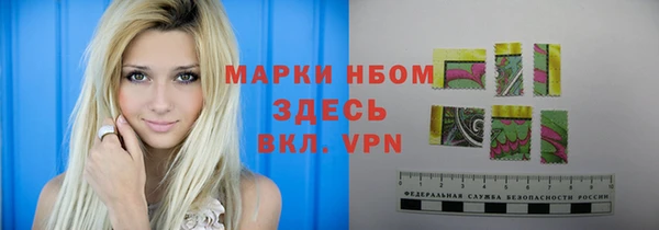 стаф Новозыбков