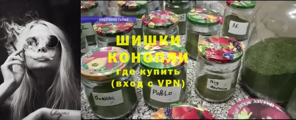 стаф Новозыбков