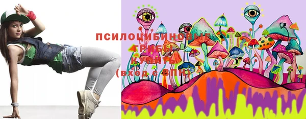 прущие крисы Новодвинск