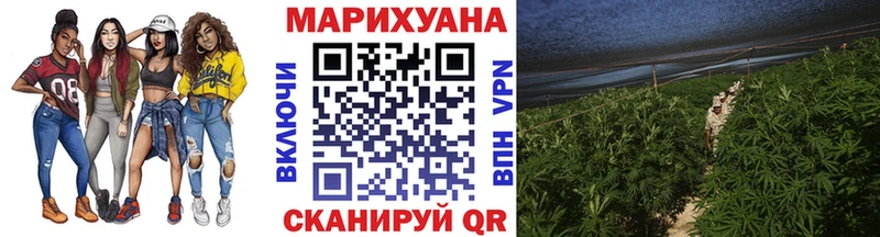 Бошки Шишки ГИДРОПОН  Севастополь 